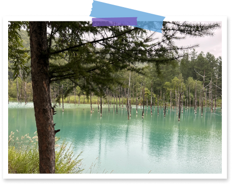 TRAVEL SNAP 2026