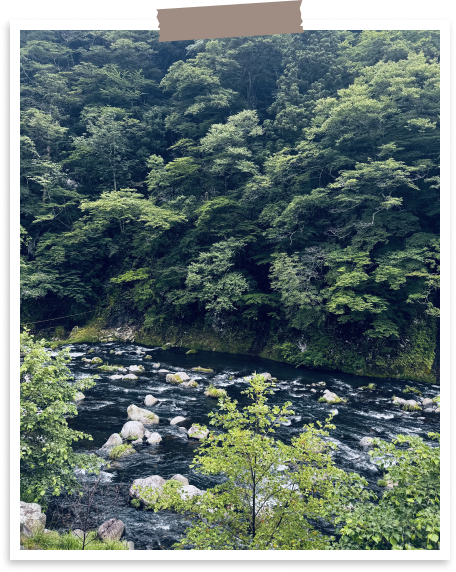 TRAVEL SNAP 2026