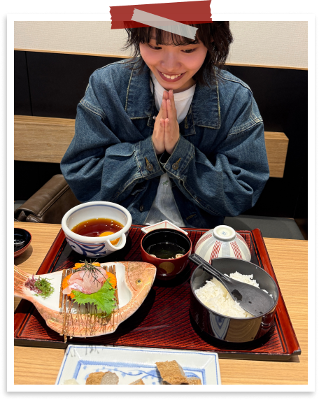 TRAVEL SNAP 2026