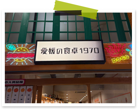 TRAVEL SNAP 2026