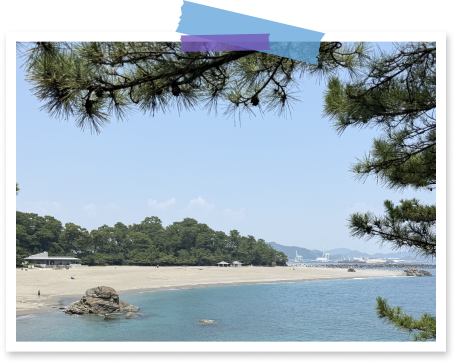 TRAVEL SNAP 2026