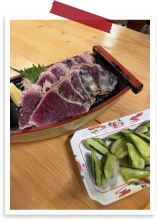 TRAVEL SNAP 2026