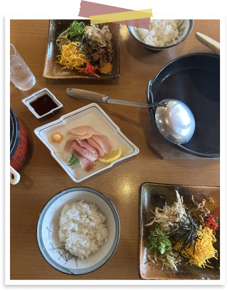 TRAVEL SNAP 2026