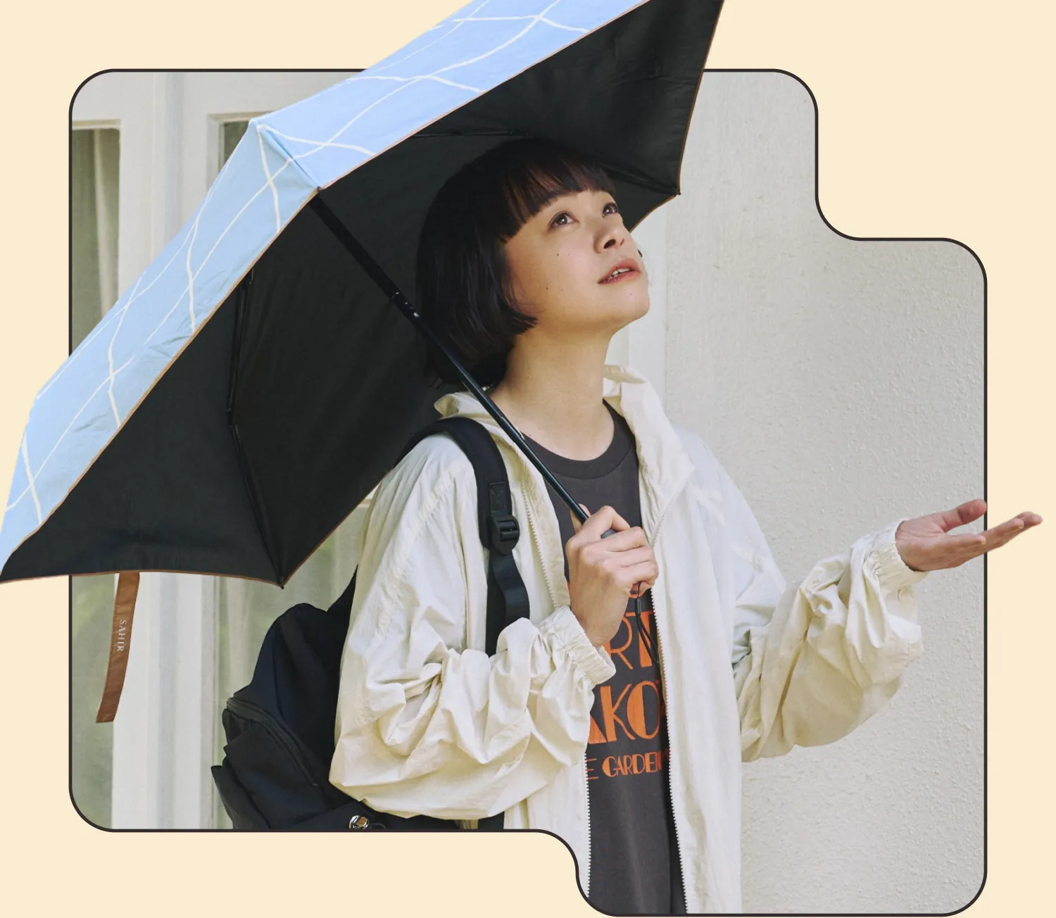 fv_img