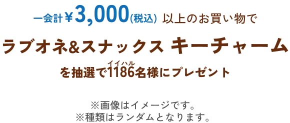 2026spring_palcloweek