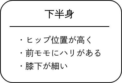 下半身/ヒップ位置が高く、前モモにハリがある、膝下が細い