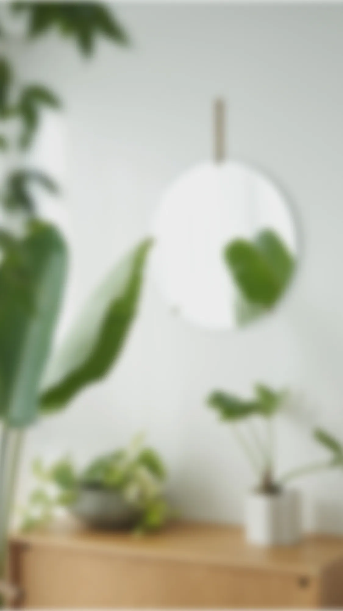 RMAF Spring Summer Collection 2026