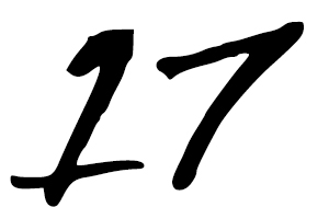 17