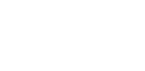 INFLUENCER SAKI