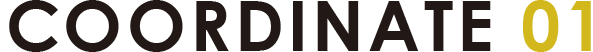 COORDINATE 01