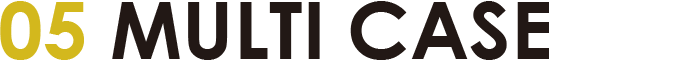 05 MULTI CASE