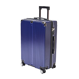 Trolley Bag