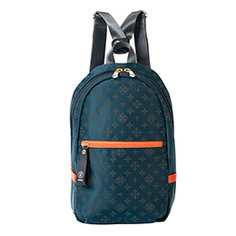 2way Ruck Sack