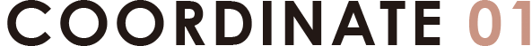 COORDINATE 01