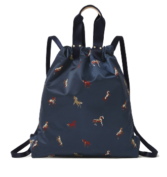 ナップサック（WOODLANDER)