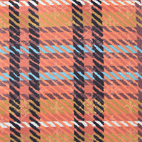 チェック・オレンジ