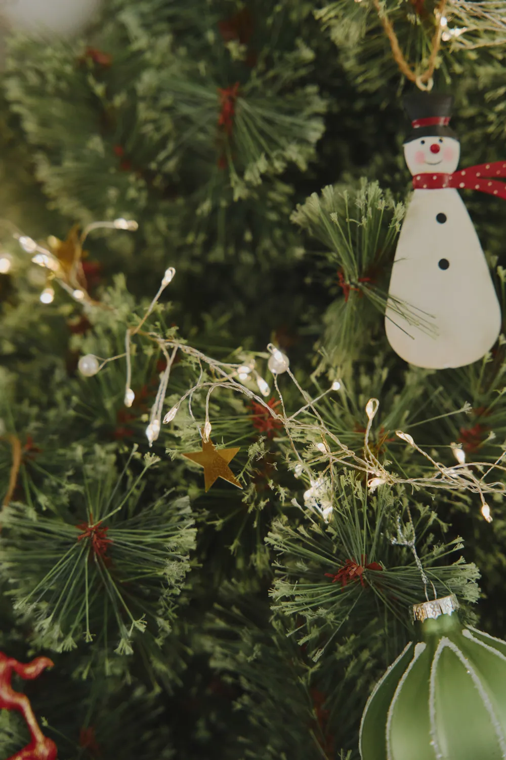 salut Christmas Collection