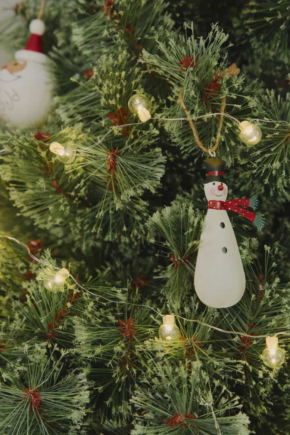 salut Christmas Collection
