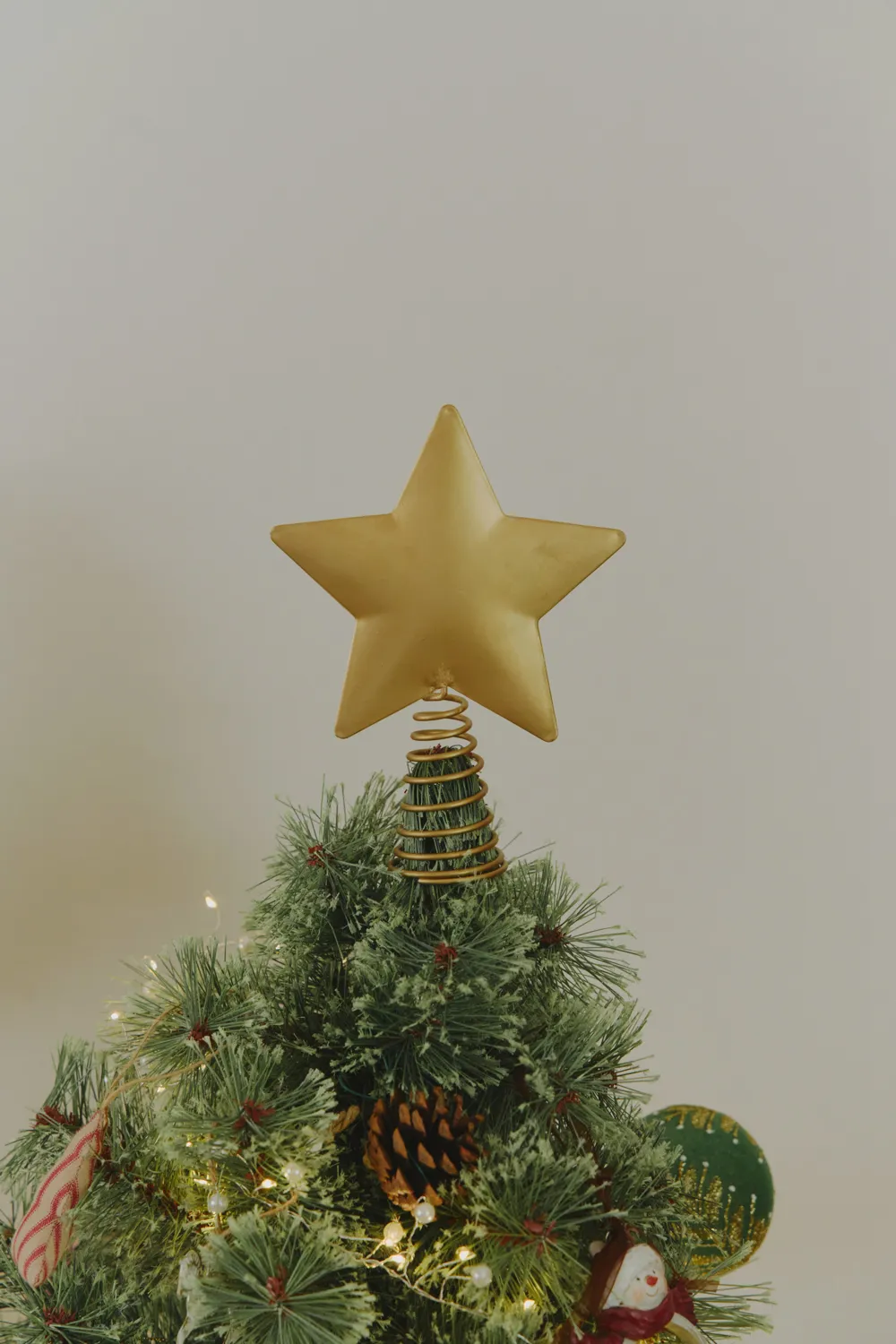 salut Christmas Collection