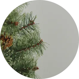 salut Christmas Collection