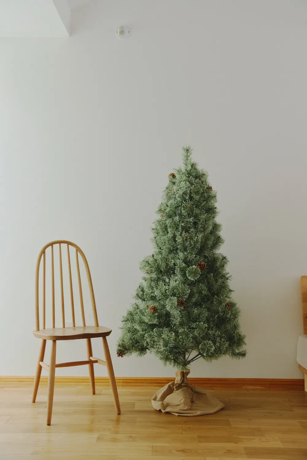 salut Christmas Collection