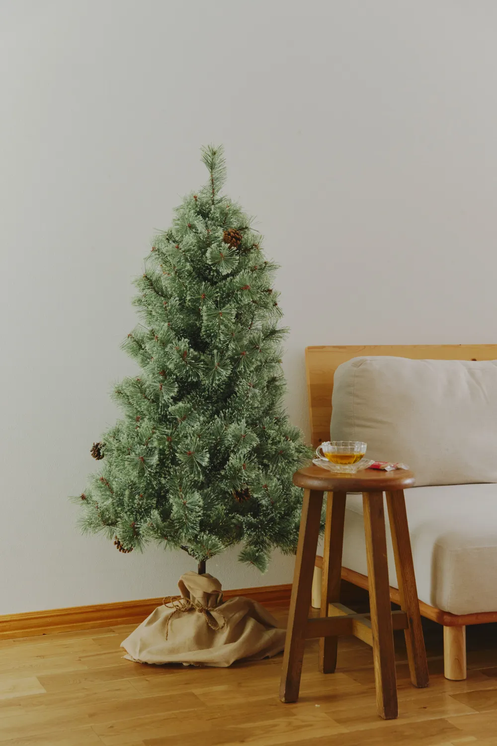 salut Christmas Collection