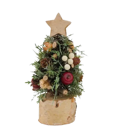 salut Christmas Collection
