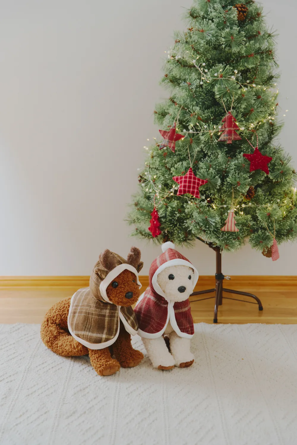 salut Christmas Collection