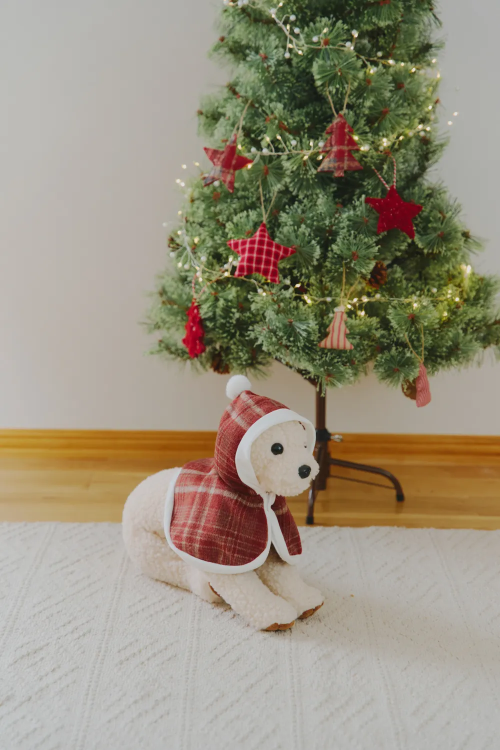 salut Christmas Collection