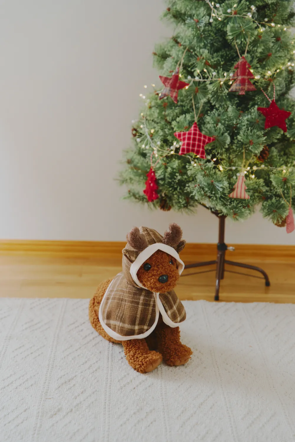 salut Christmas Collection
