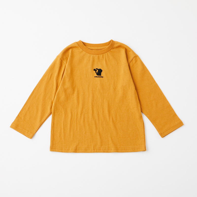 POKÉMON DE CIAOPANIC TYPY アイテム01