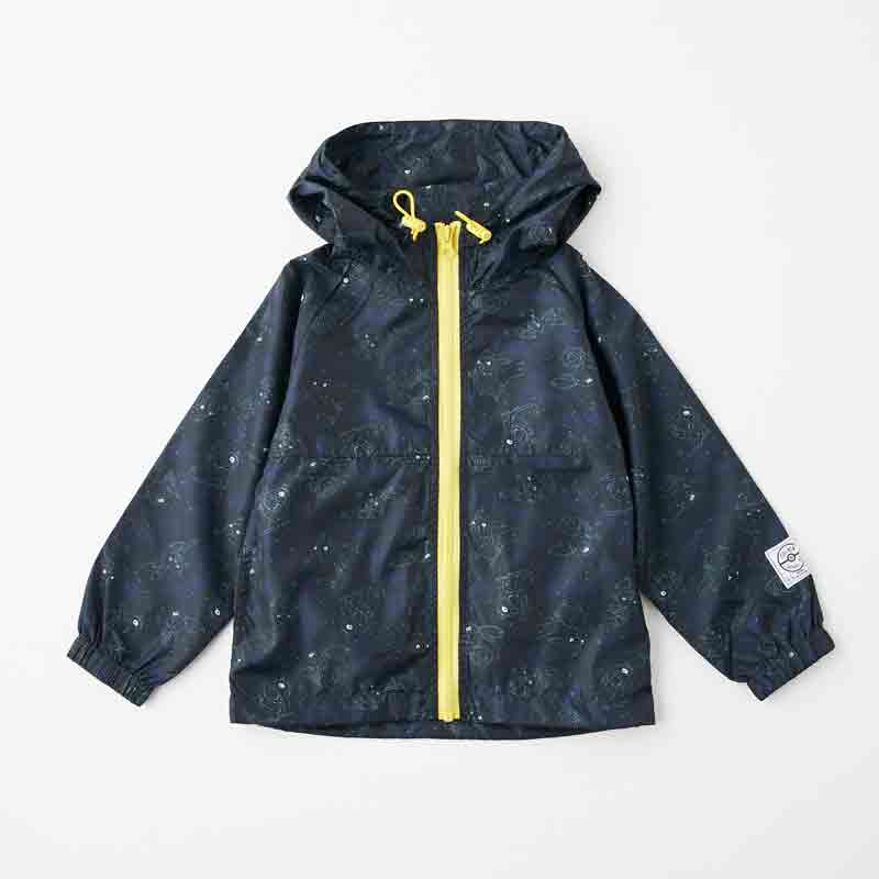 POKÉMON DE CIAOPANIC TYPY アイテム10