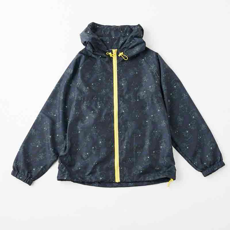 POKÉMON DE CIAOPANIC TYPY アイテム11