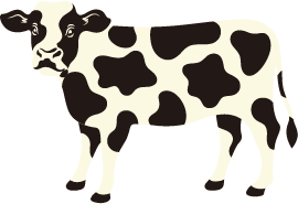 wiggle wiggle × TYPY