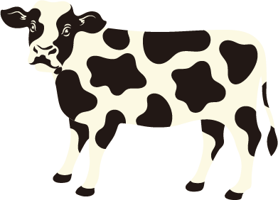 wiggle wiggle × TYPY