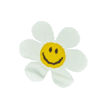 wiggle wiggle × TYPY