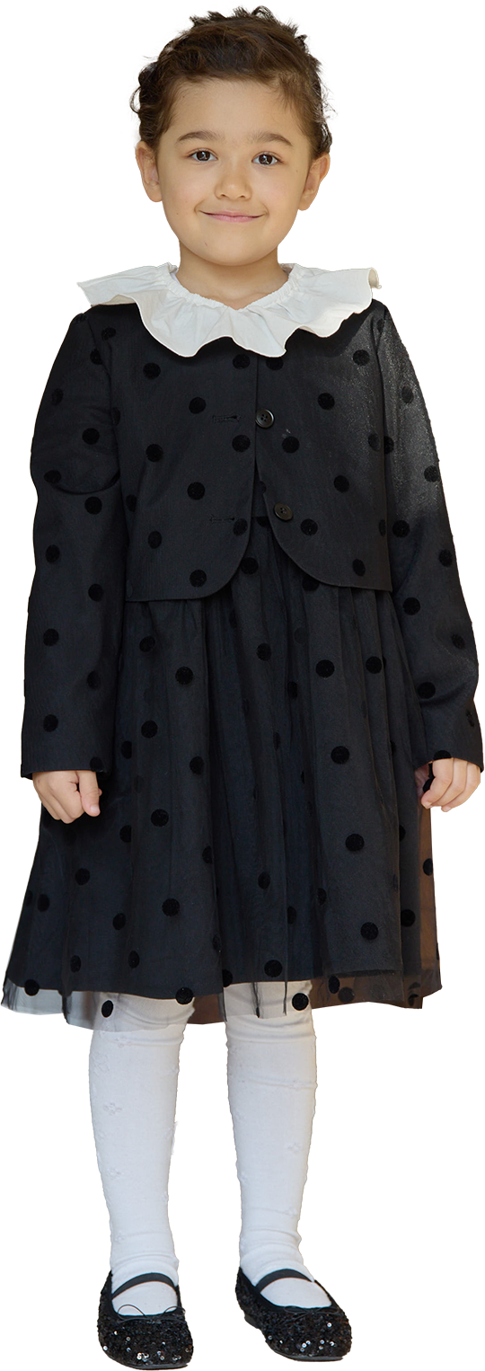 Occasion & New Life 2026 -TYPY