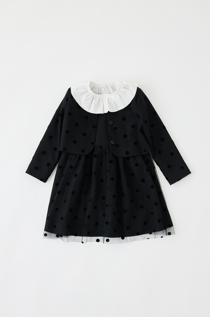 Occasion & New Life 2026 -TYPY