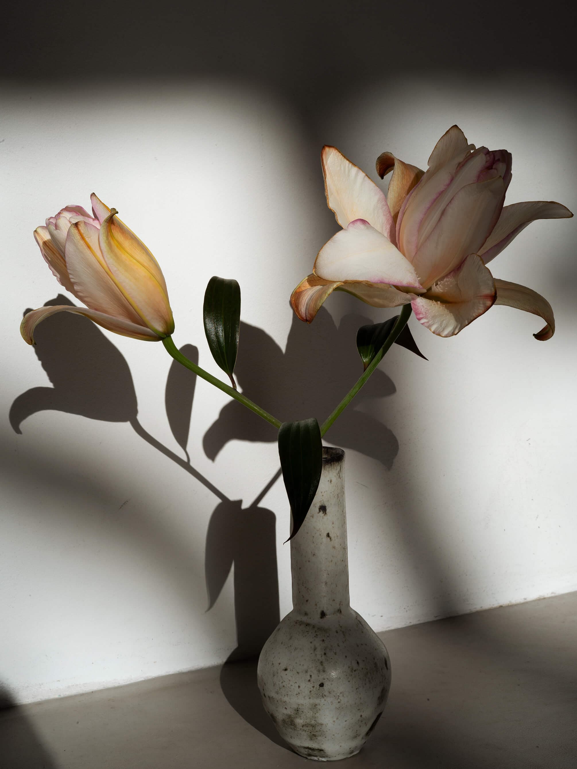 WHIM GAZETTE 2024 SPRING&SUMMER