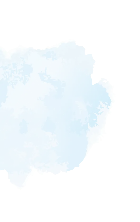 DEPARTMENT 2026 Spring & Summer