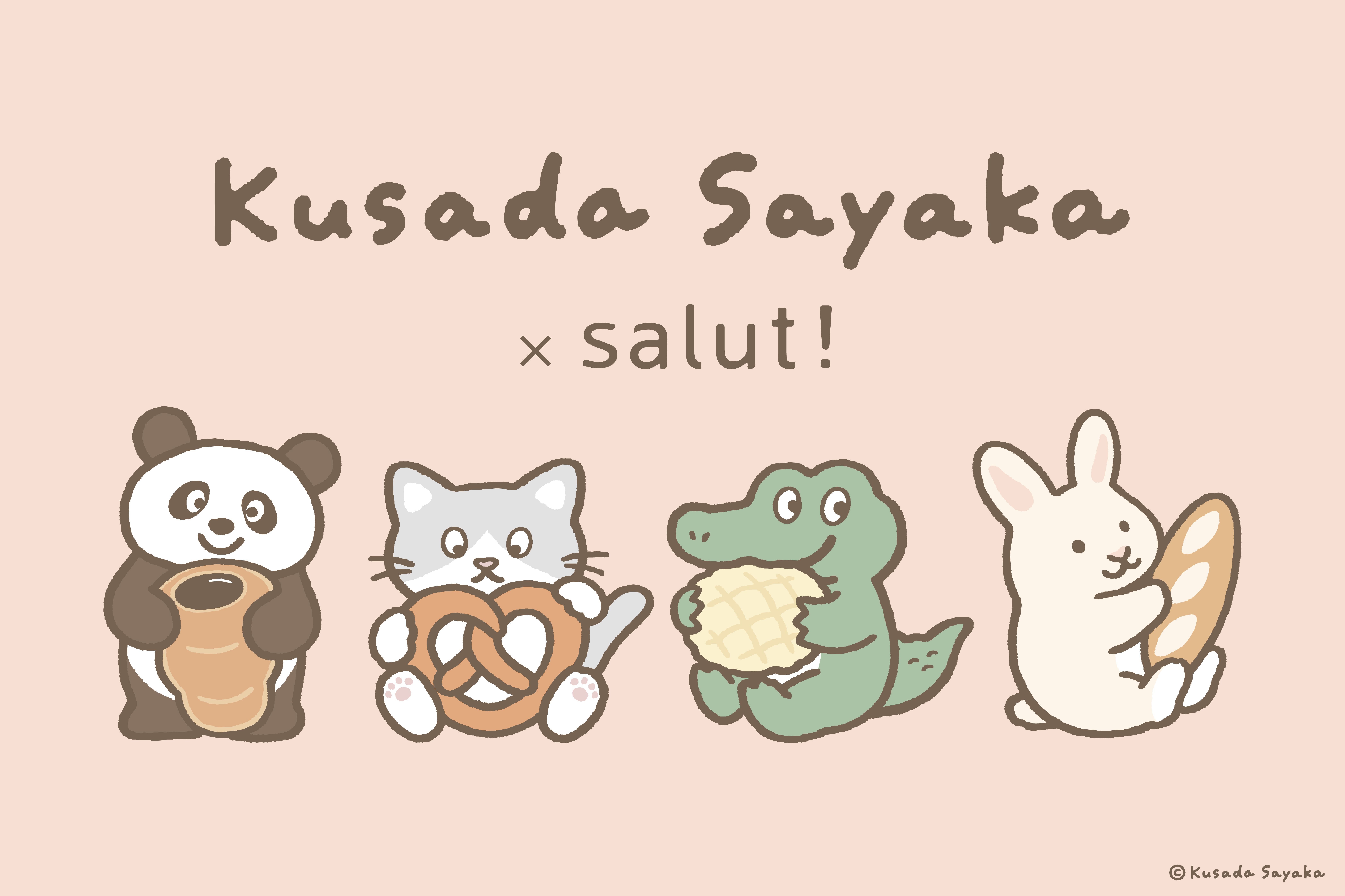 kusada sayaka x salut