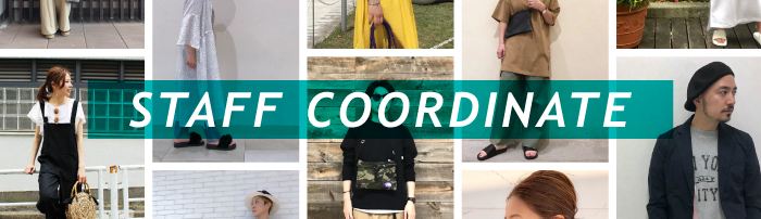 STAFF COORDINATE